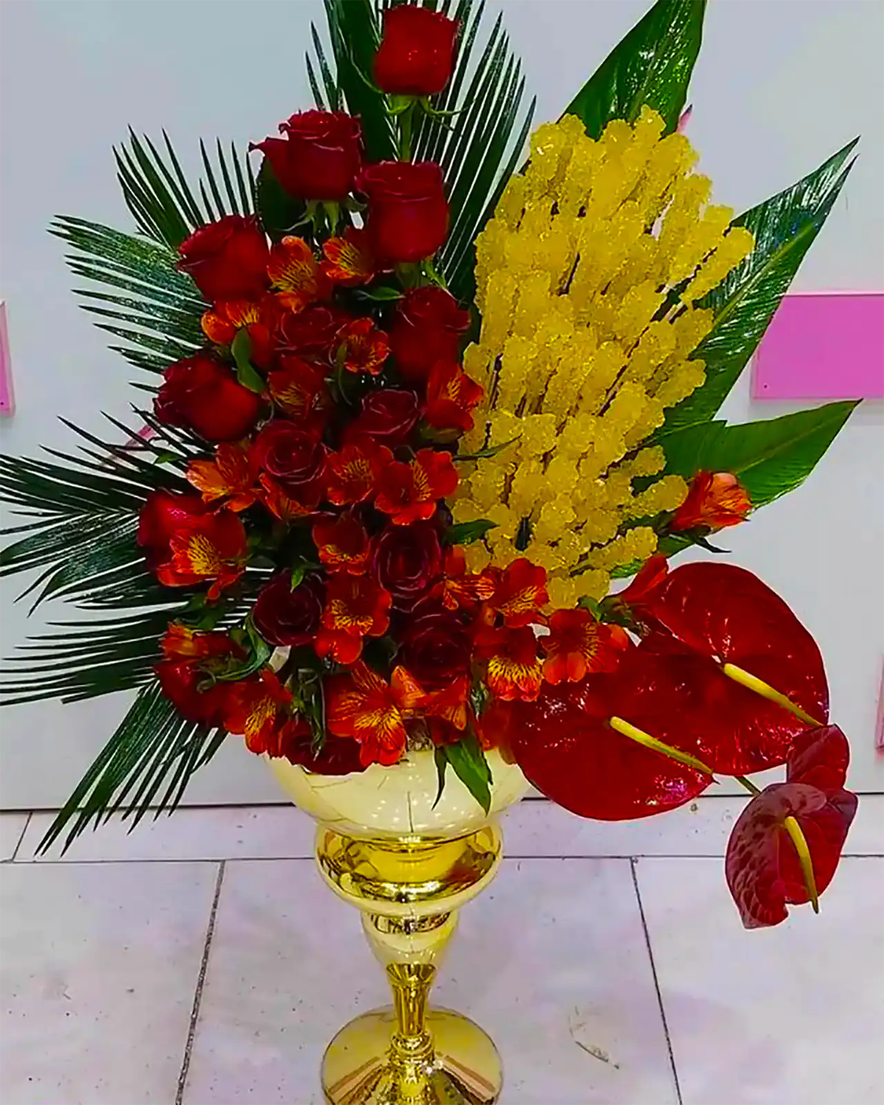 نبات سفره عقد