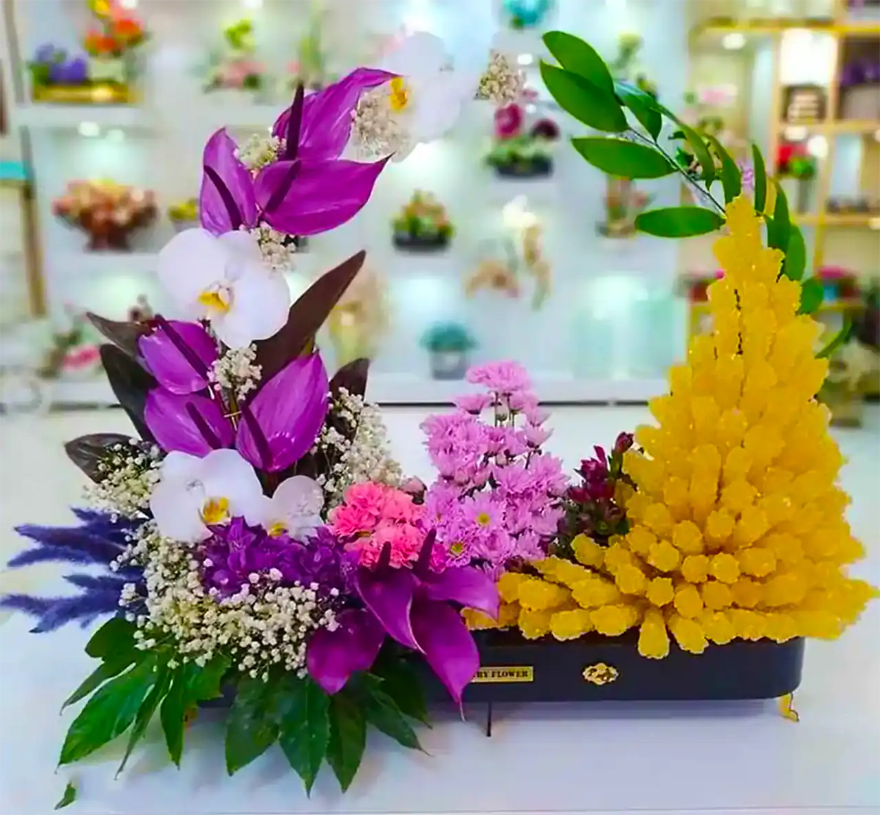 نبات سفره عقد