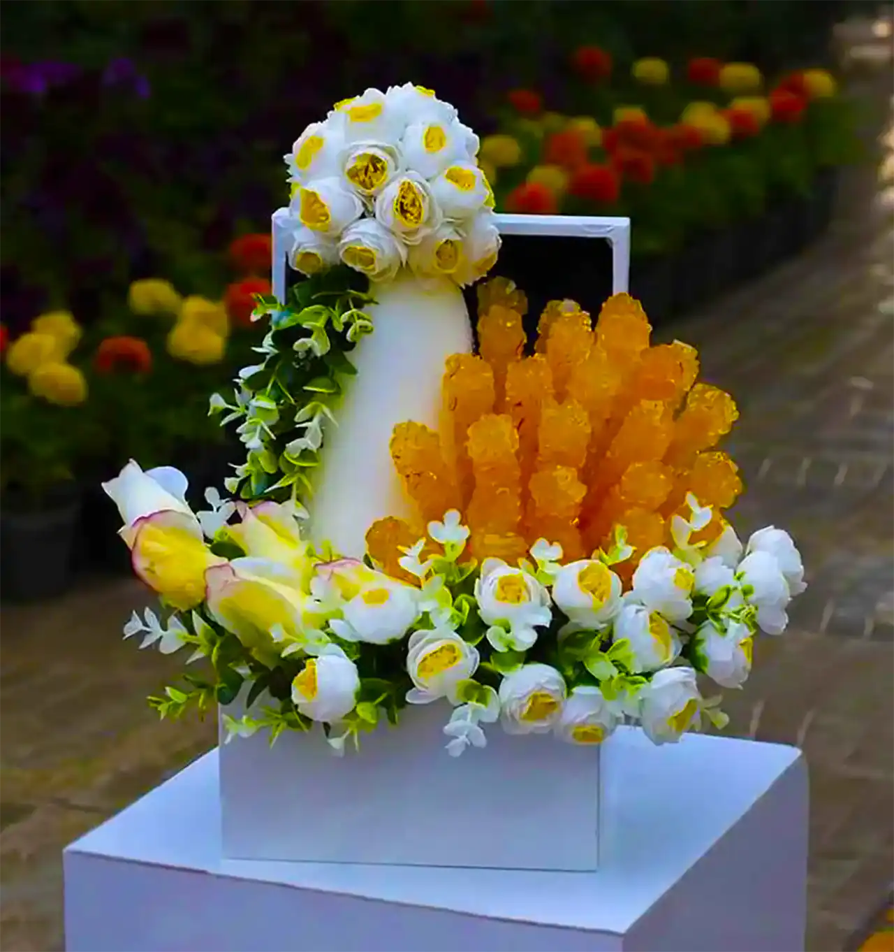 نبات سفره عقد