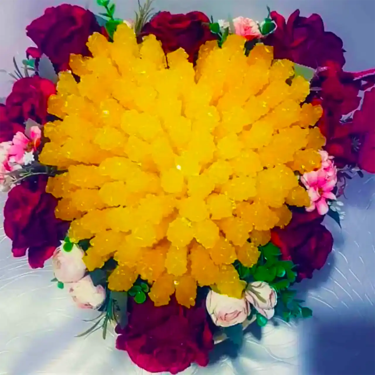 نبات سفره عقد