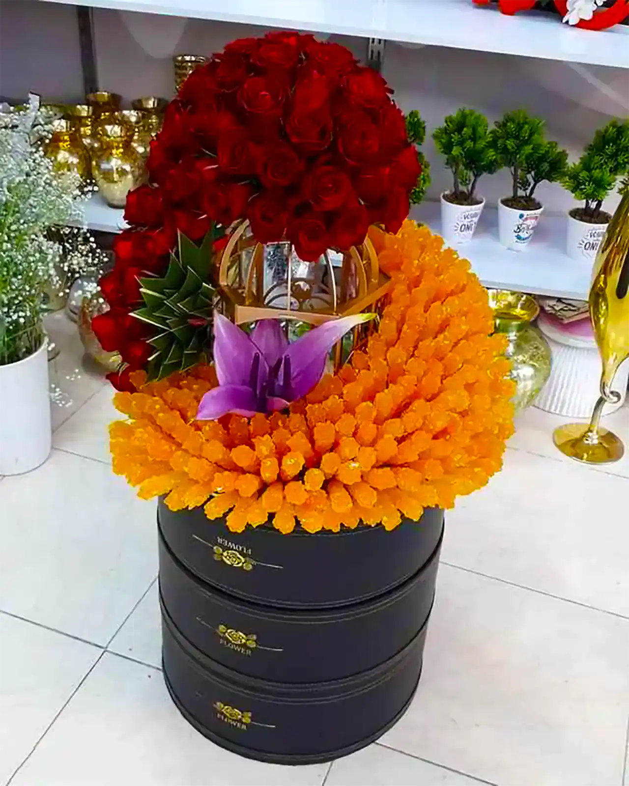 نبات سفره عقد