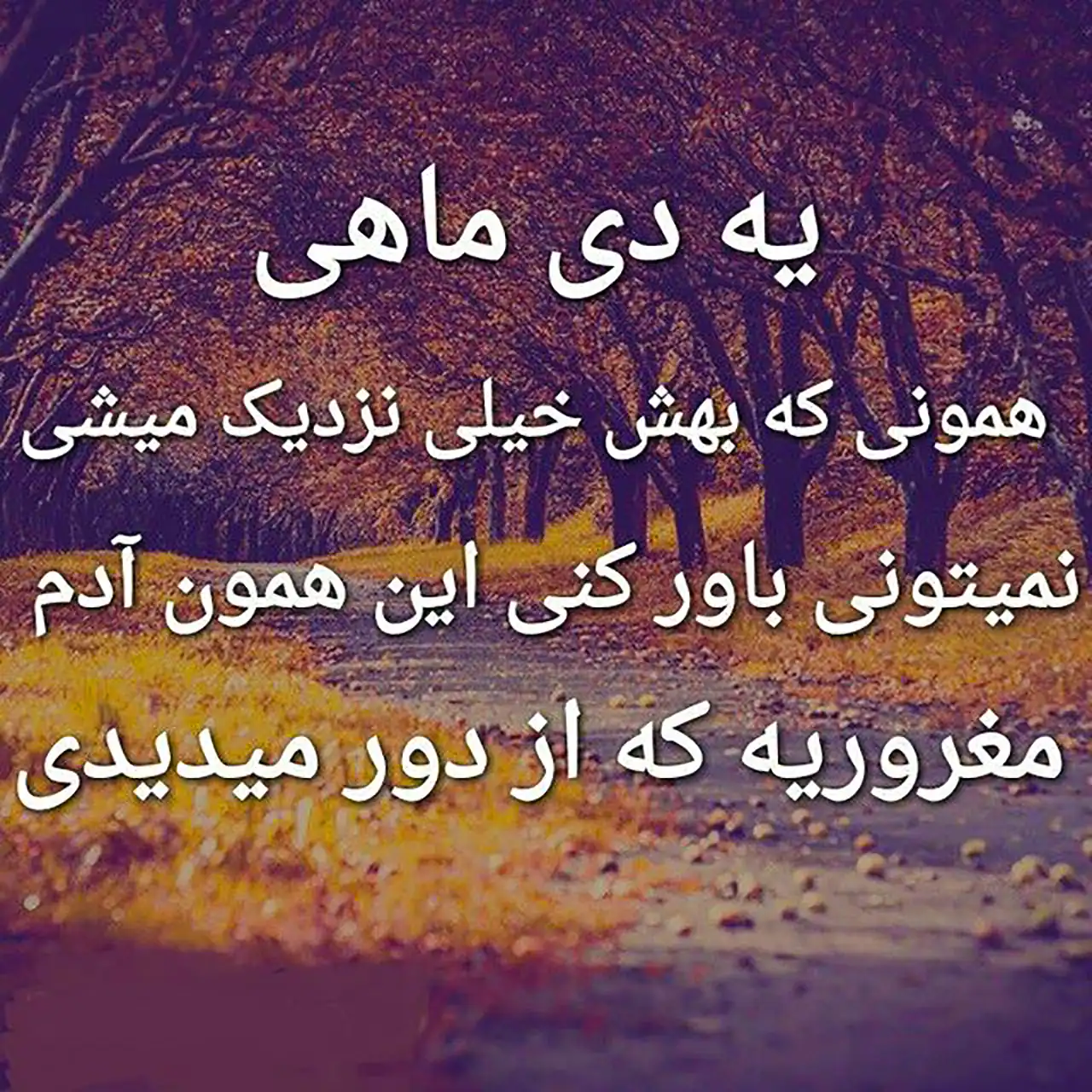 عکس نوشته تولد دی ماهی