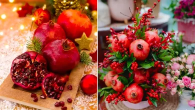 دیزاین انار برای یلدا