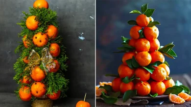 دیزاین نارنگی برای یلدا