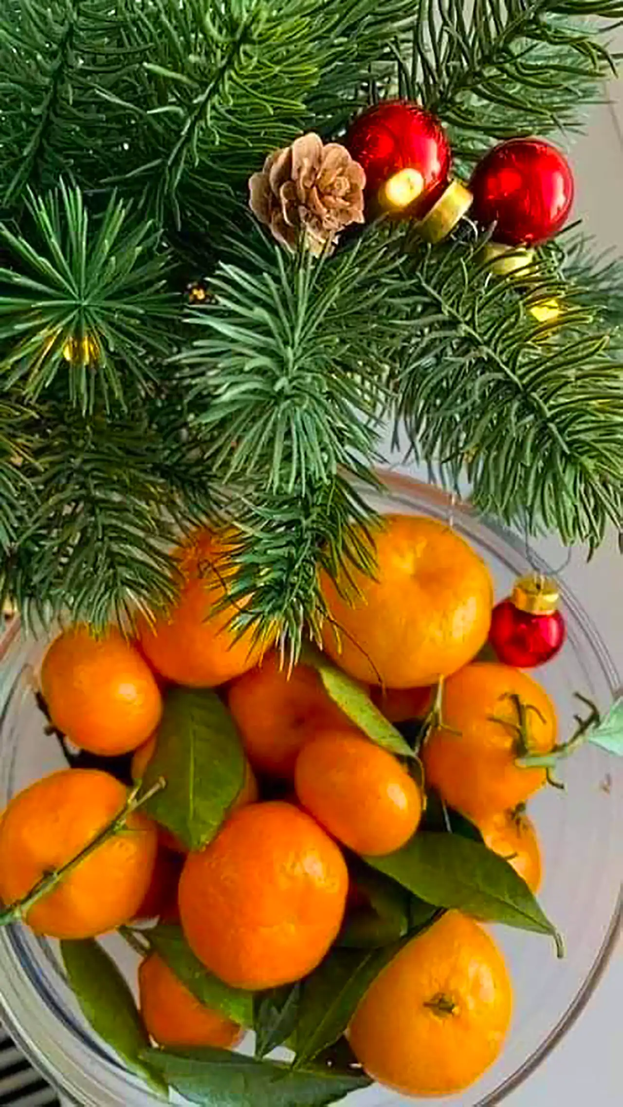 دیزاین نارنگی برای یلدا