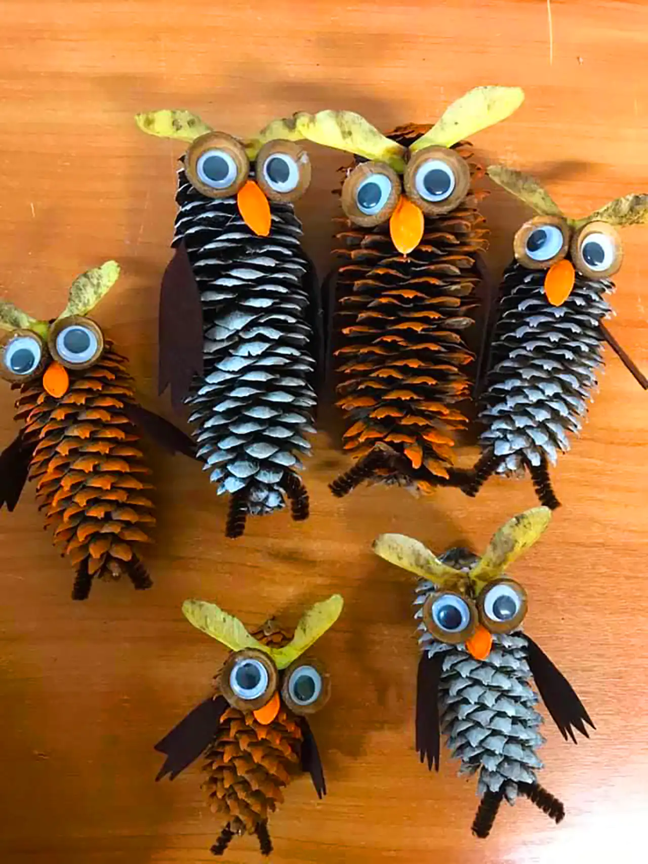 کاردستی جغد برای مدرسه