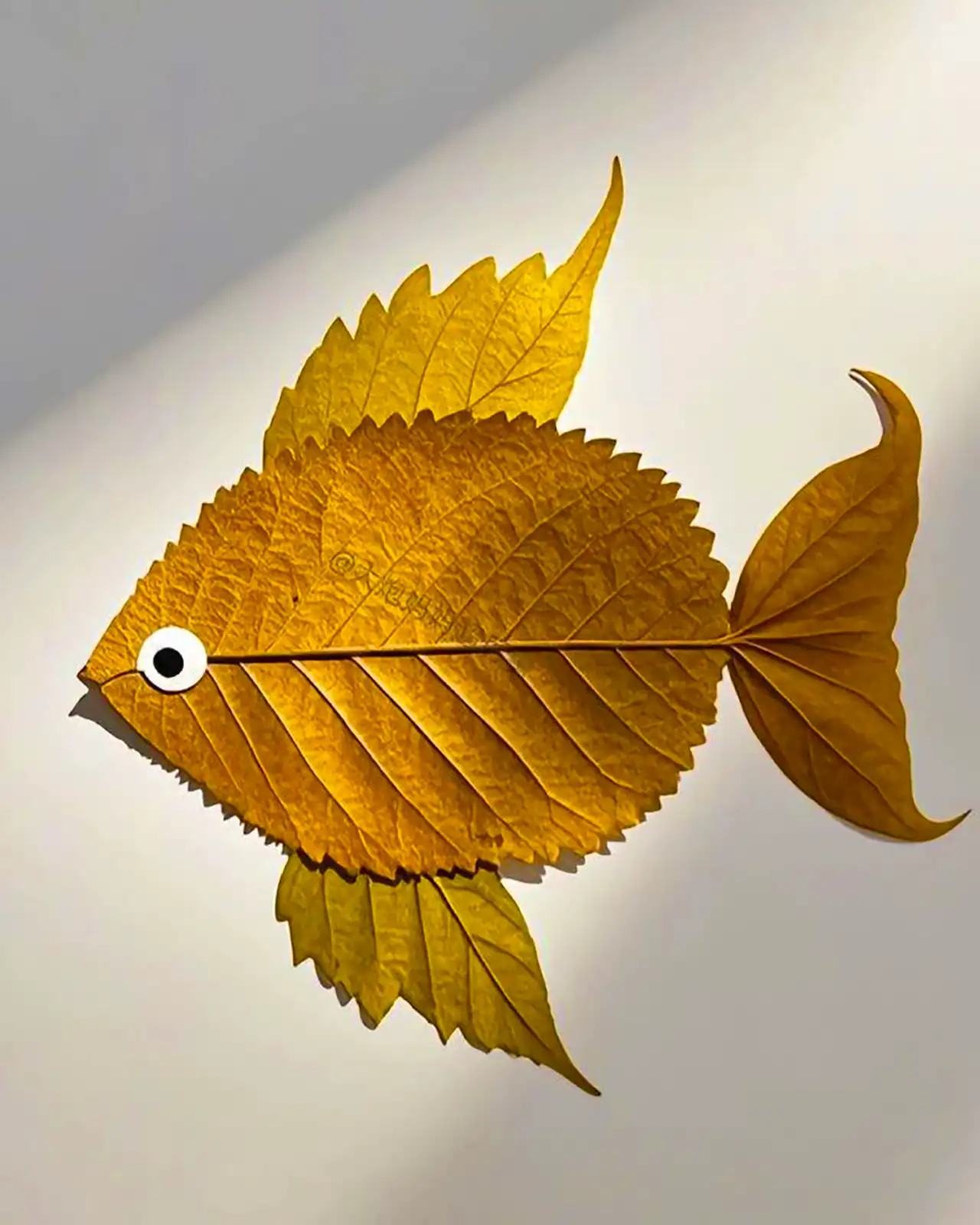 کاردستی مدرسه با برگ