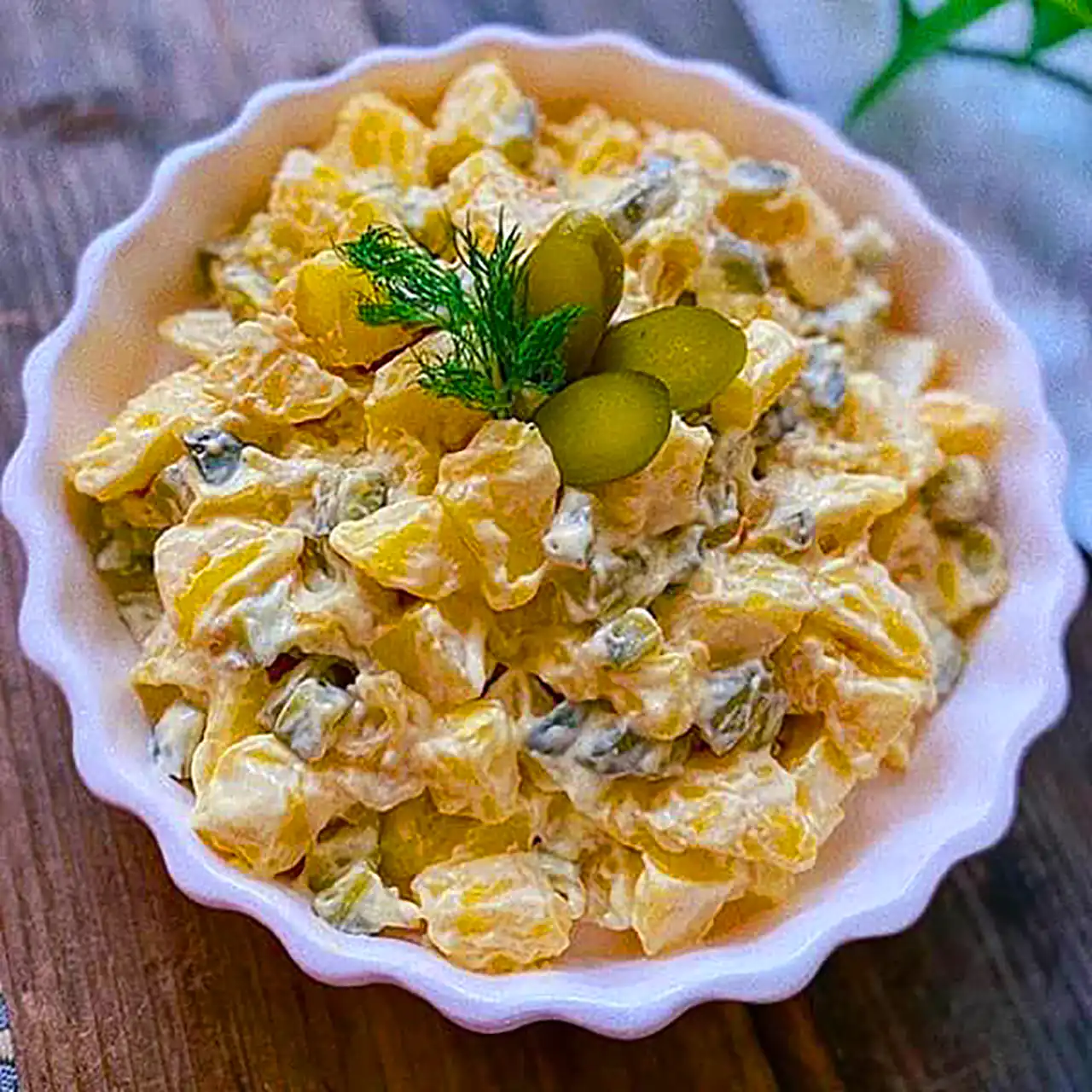 سالاد رژیمی خاص