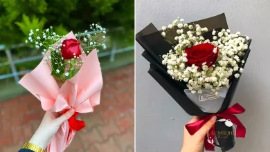 شاخه گل رز قرمز