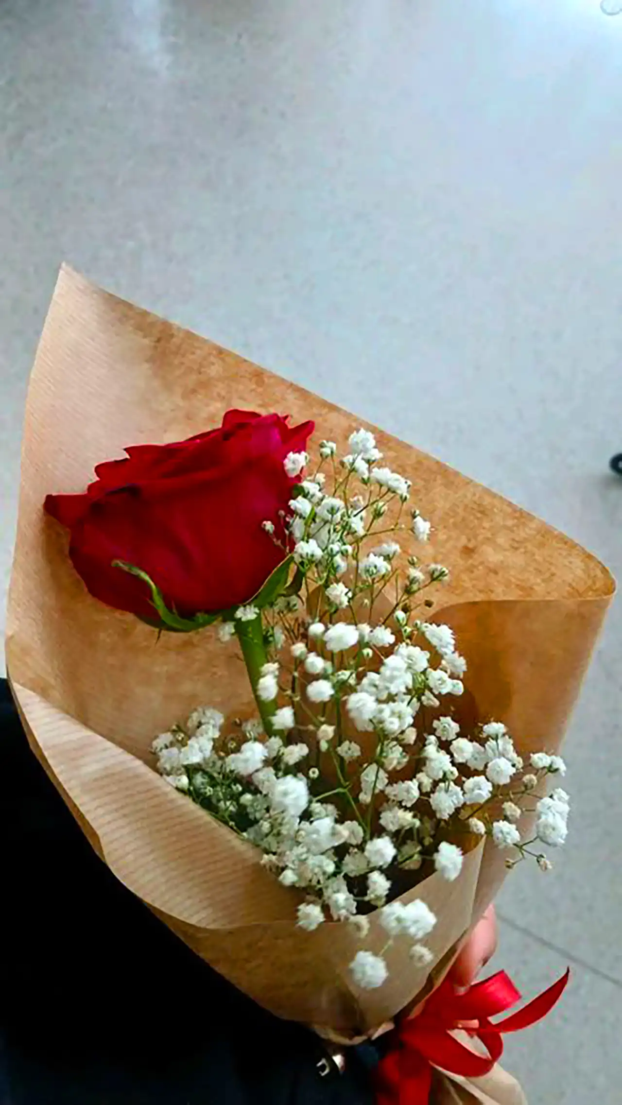 شاخه گل رز قرمز