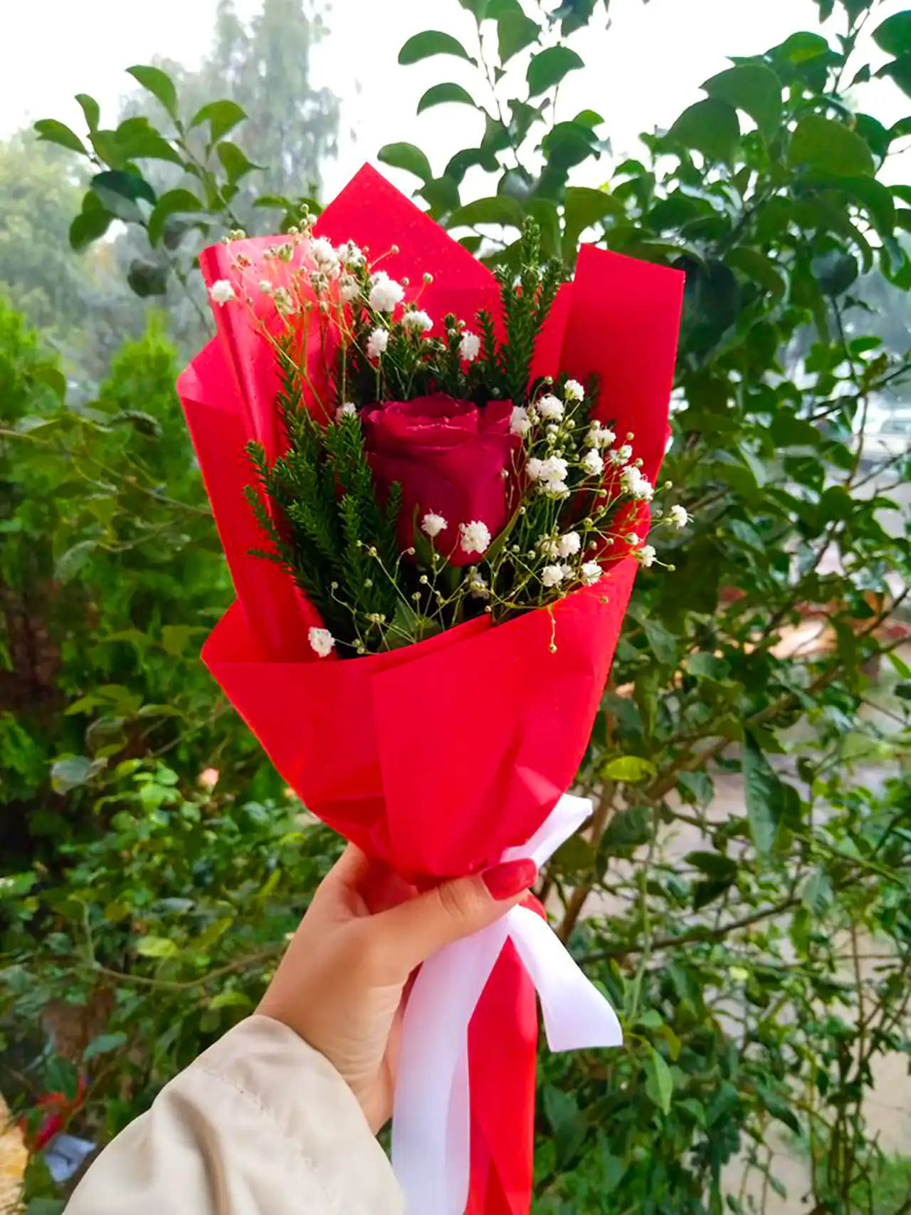 شاخه گل رز قرمز