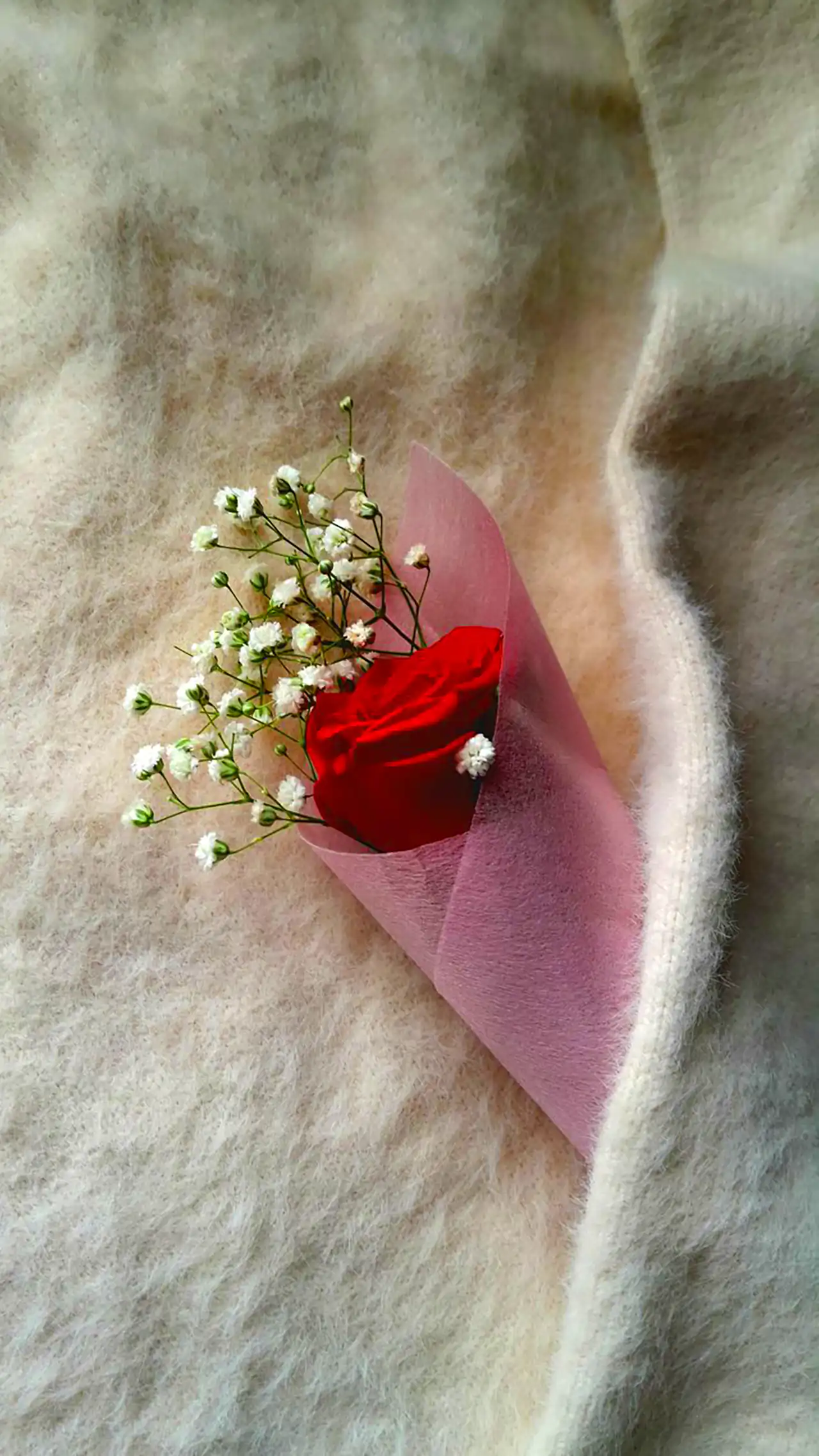 شاخه گل رز قرمز