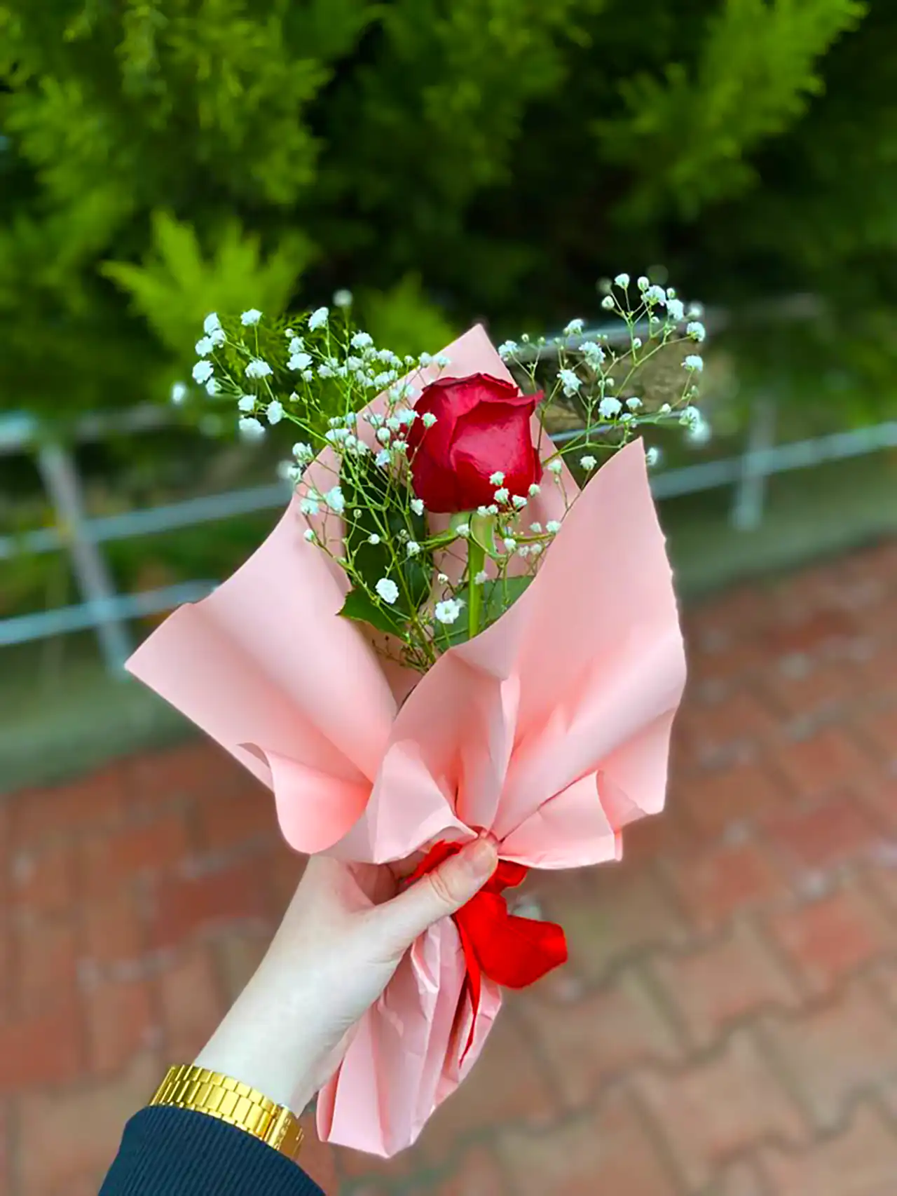 شاخه گل رز قرمز