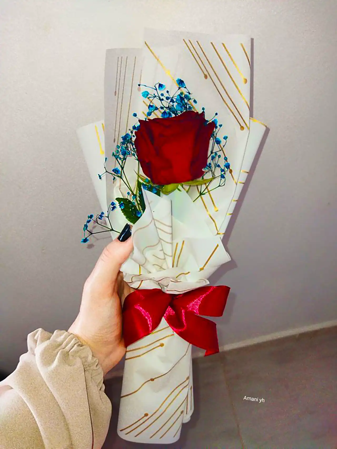 شاخه گل رز قرمز