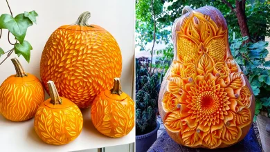 تزئین کدو حلوایی شب چله